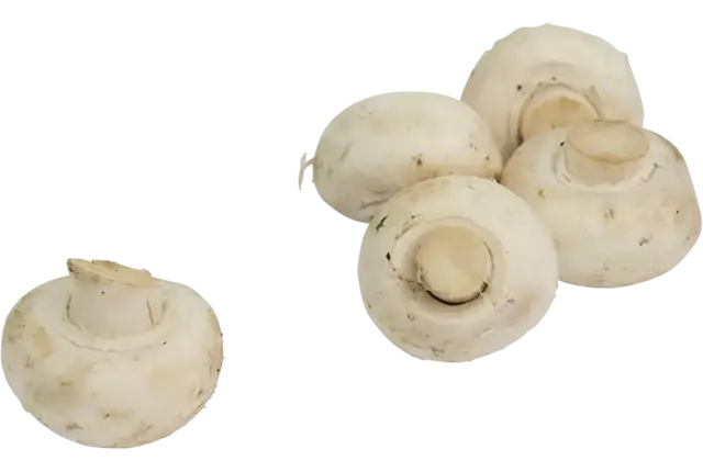 Champignons los klasse 2 kist 4 kilogram